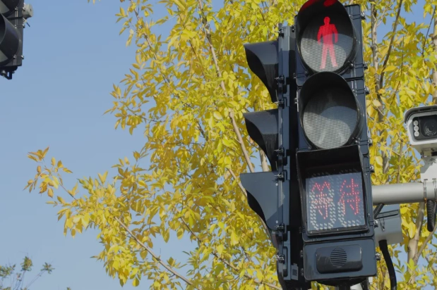 Пластикалык турак-жайы бар FAMA укма жөө сигналдары ноябрда сатылган 7,500 бирдикке жетет, 1,000ден ашык кесилиштерде орнотулган Пластикалык турак-жайы бар FAMA укма жөө сигналдары ноябрда сатылган 7,500 бирдикке жетет, 1,000ден ашык кесилиштерде орнотулган